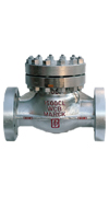 Swing Check Valve